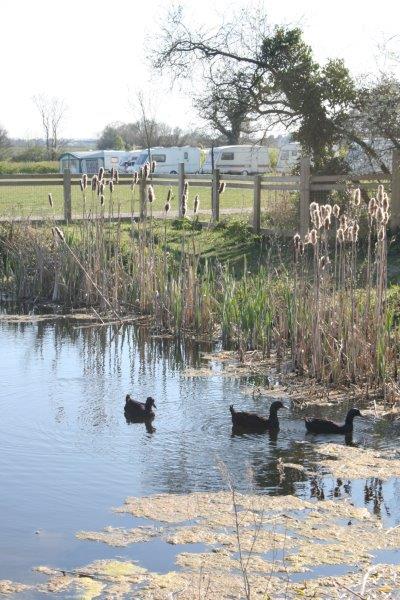 Haw Wood Farm Caravans & Camping 1 Haw Wood Farm Caravans & Camping