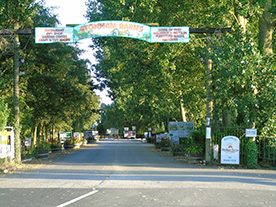 View Advert
