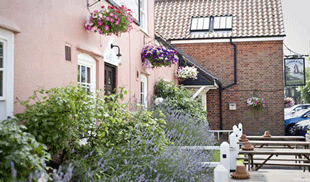 The Plough & Sail 4 The Plough & Sail