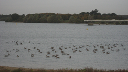 Shotley Peninsula