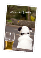 Find all about Dog Friendly Suffolk here
