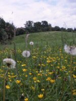 Picnic Sites in Suffolk