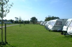 Haw Wood Farm Caravan & Camping Park, Southwold