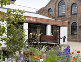 Half Term Things to do in Suffolk 4 Half Term Things to do in Suffolk