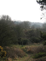 Picnic Sites in Suffolk