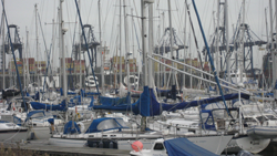 Shotley Marina and Felixstowe Port