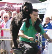 doggydaysoutinsuffolk