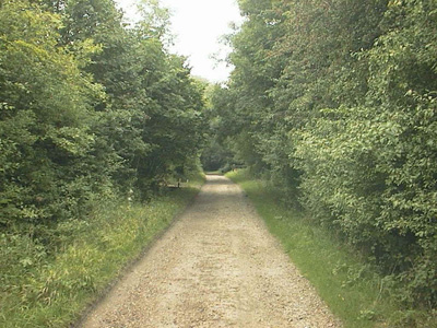 Walking in Suffolk