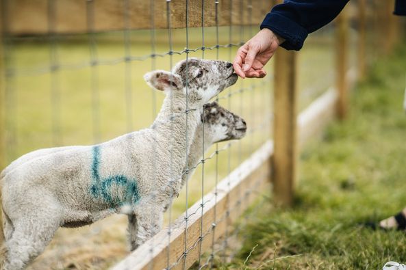 Easter Holiday Things To Do 3 Easter Holiday Things To Do