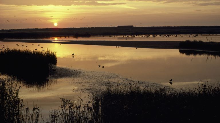 RSPB Suffolk