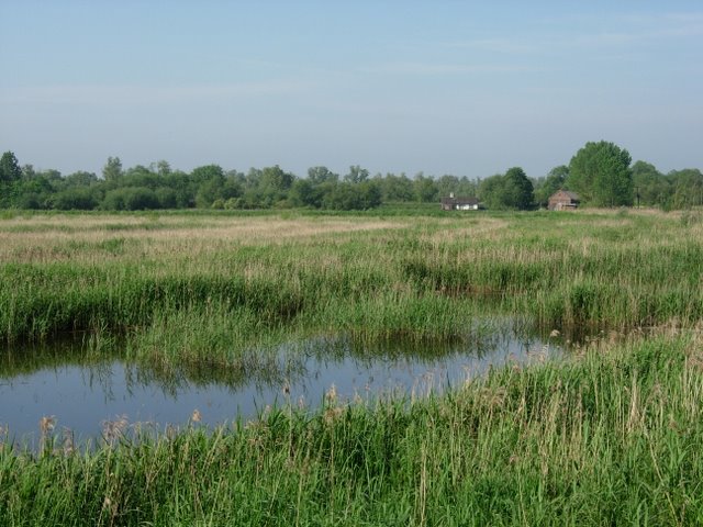 RSPB Lakenheath Fen