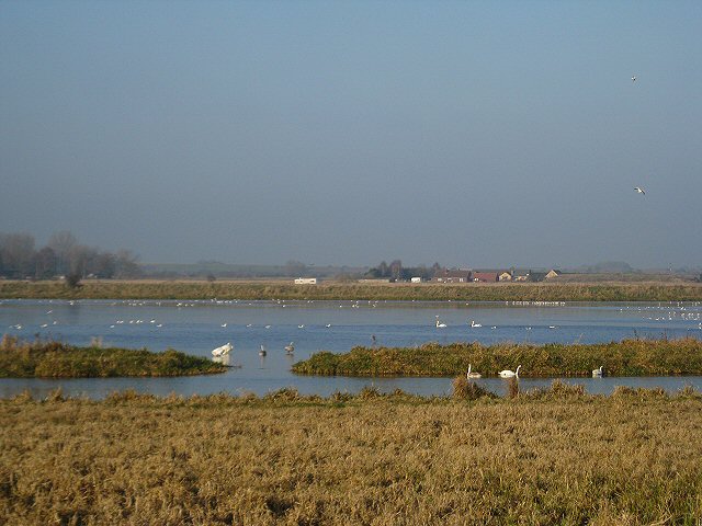 RSPB Lakenheath Fen