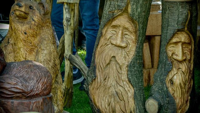 Weird and Wonderful Wood