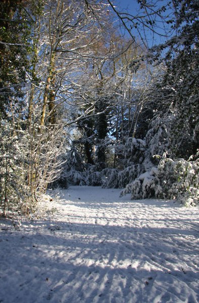 394px-track through adkin%27s wood%2c horringer - geograph.org.uk - 1628484