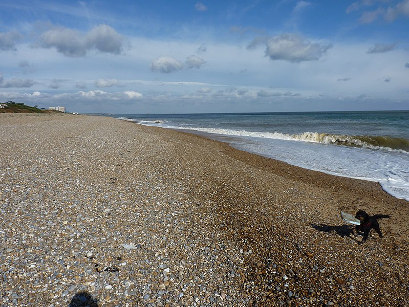 799px-thorpe ness to sizewell beach - geograph.org.uk - 3225448