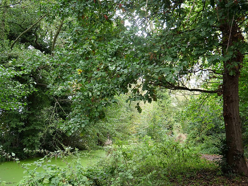 800px-canal%2c holywells park%2c ipswich 2