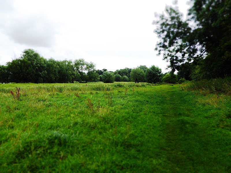 800px-framlingham mere 7