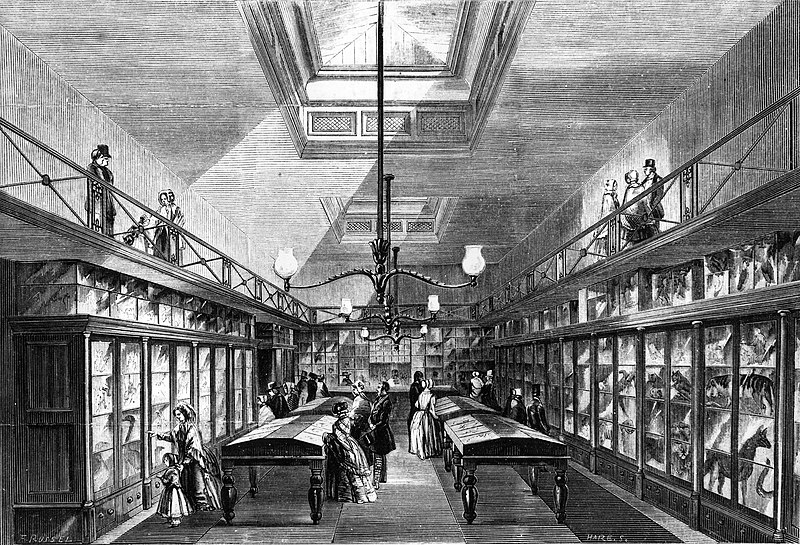 800px-ipswich museum c. 1850