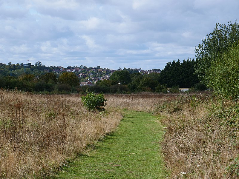 800px-landseer park - view of maidenhall