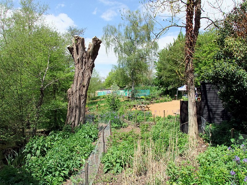 800px-rspb flatford wildlife garden - geograph.org.uk - 2948733