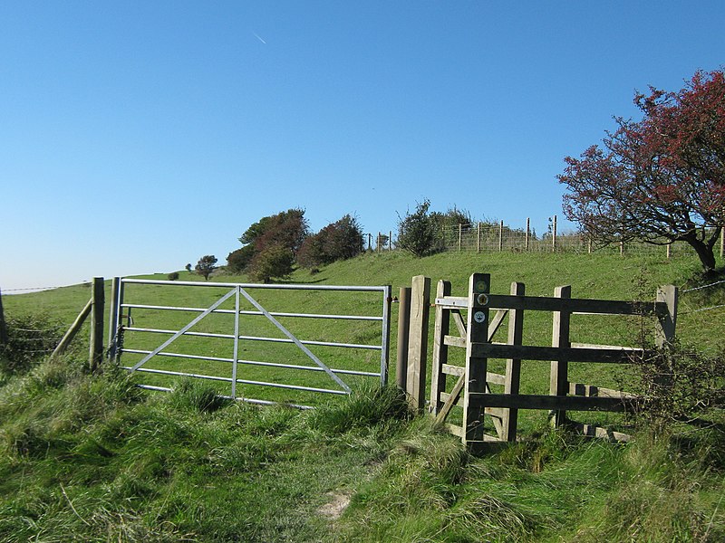 800px-saxon shore way and north downs way kissing gate on the folkestone downs - geograph.org.uk - 2107988