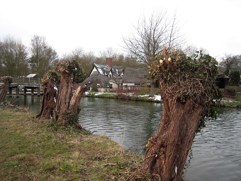 800px-stour valley path%2c flatford. the bridge cottage. - panoramio