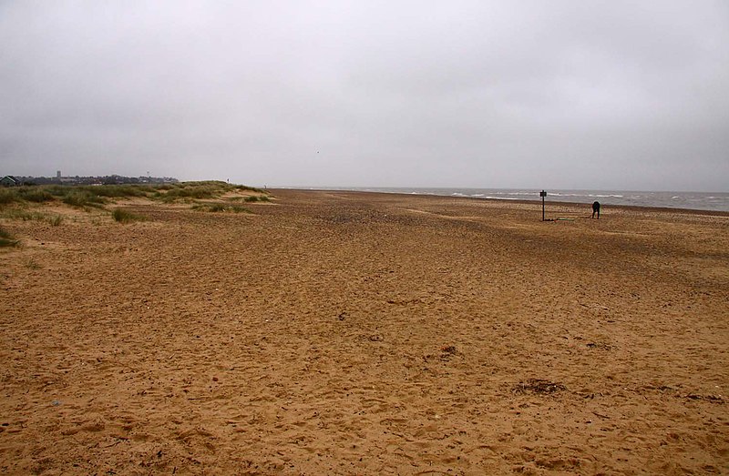 800px-the denes at southwold - geograph.org.uk - 2223513
