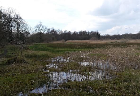 10 Best and Fun Things To Do In Eye, Suffolk