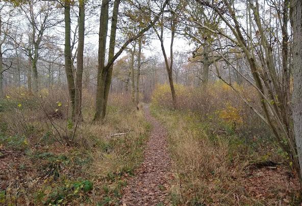 6 Best and Fun Things To Do In Chattisham, Suffolk 3 Af1qipntbw1hnzodugkocjqsopgntp6kdofb5wvlekui=w592-h404-n-k-no