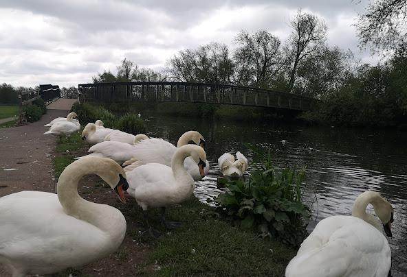 9 Best and Fun Things To Do In Icklingham, Suffolk