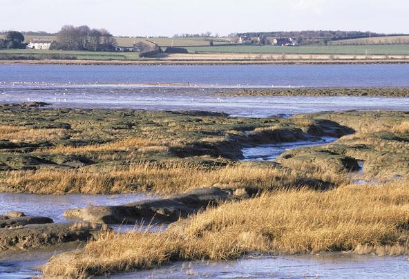 9 Best and Fun Things To Do In Cattawade, Suffolk 5 Af1qipoecozzpnl6m-1oftgls6kjanbixtikmi8ucwsq=w592-h404-n-k-no