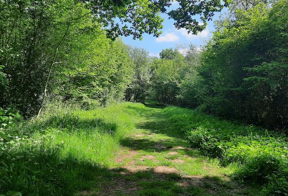 7 Best and Fun Things To Do In Bradfield Combust, Suffolk 6 Af1qipoh 4awj0w37e3cli3e3kjrw4j4ci xmpctelkt=w592-h404-n-k-no