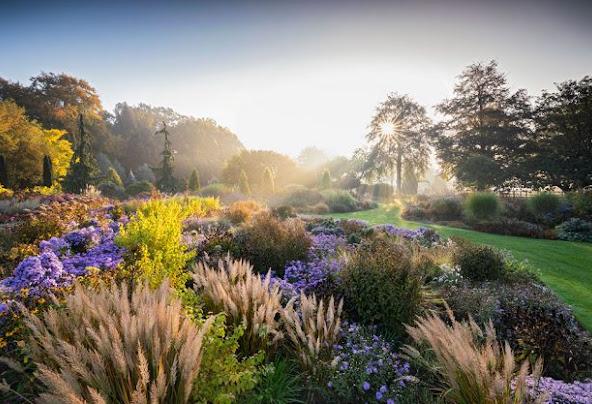 5 Best and Fun Things To Do In Rickinghall, Suffolk
