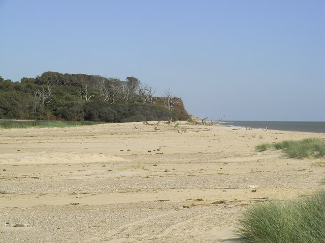 Easton wood near covehithe%2c suffolk - geograph.org.uk - 1089104