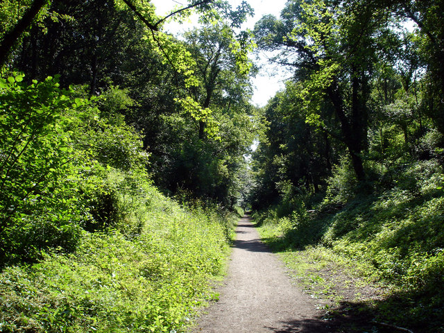 Hadleigh railway walk - geograph.org.uk - 1370611