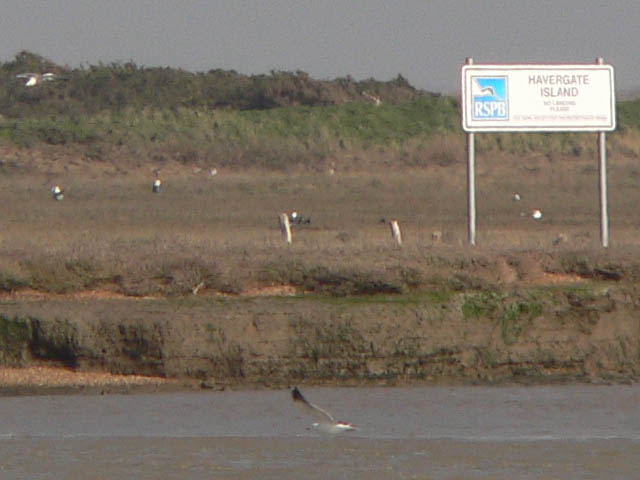 Havergate island rspb sign - geograph.org.uk - 377464