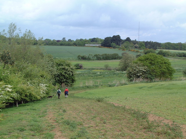 Leiston common - geograph.org.uk - 173519