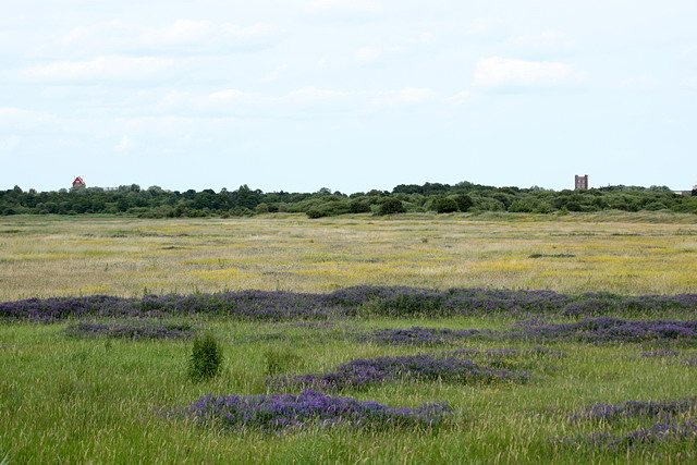 North warren rspb nature reserve - geograph.org.uk - 1959733