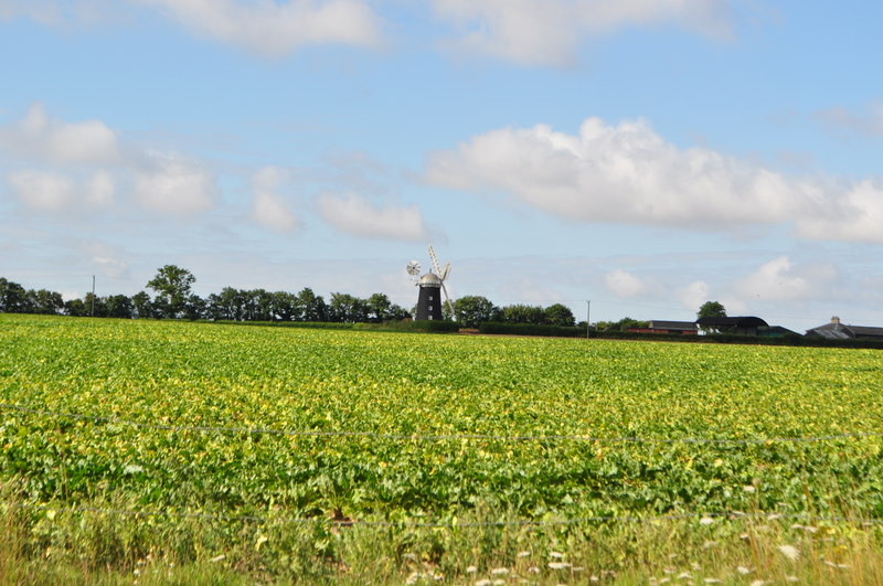 Pakenham tower mill - geograph.org.uk - 1996572