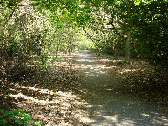 Path through martlesham heath airfield - geograph.org.uk - 1280657