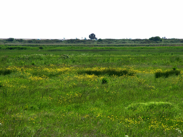 The scallop shell viewed across marshes - geograph.org.uk - 1345057