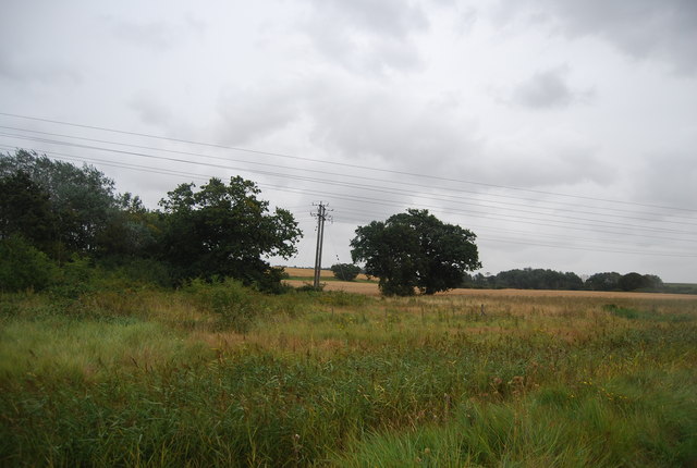Trimley marshes - geograph.org.uk - 3288407