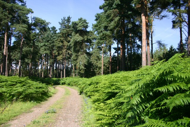 Days Out in Bury St Edmunds