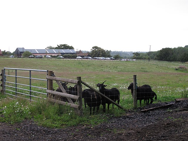Pasted image 0