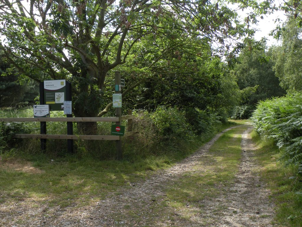 Walberswick National Nature Reserve