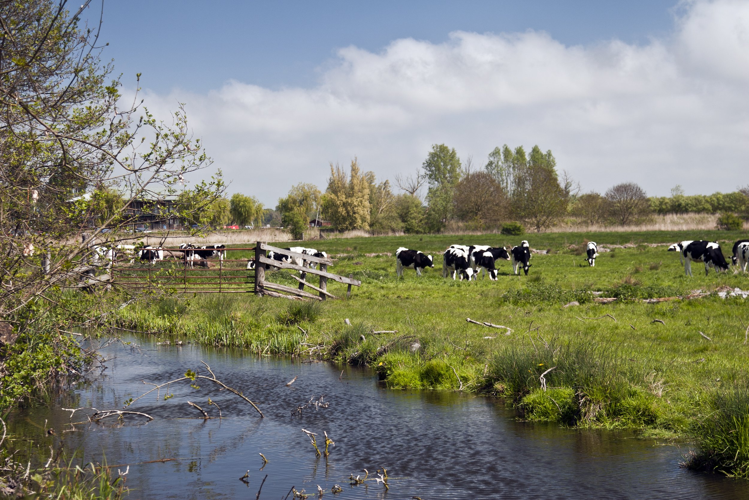 Waveney Inn, Norfolk